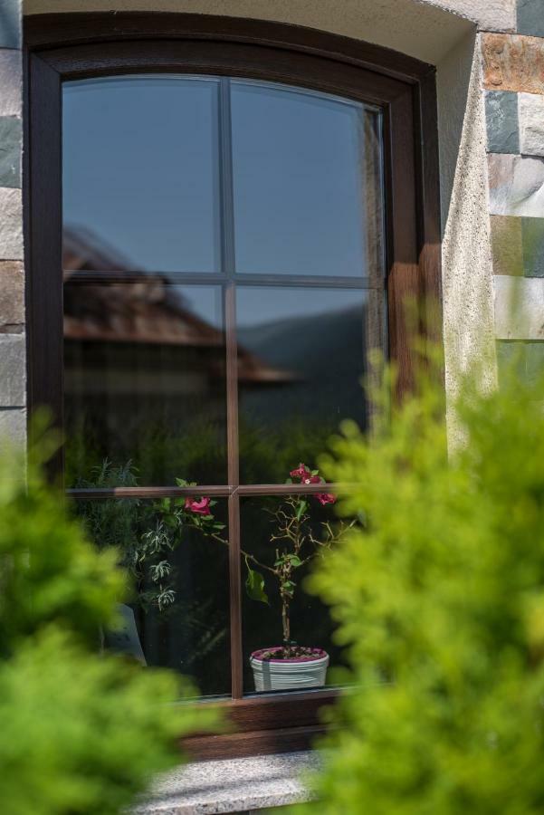 Uphill Residence Sinaia Ngoại thất bức ảnh